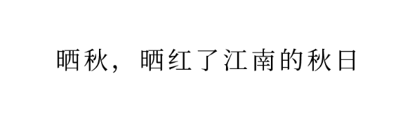 QQ圖片20231011101439.png